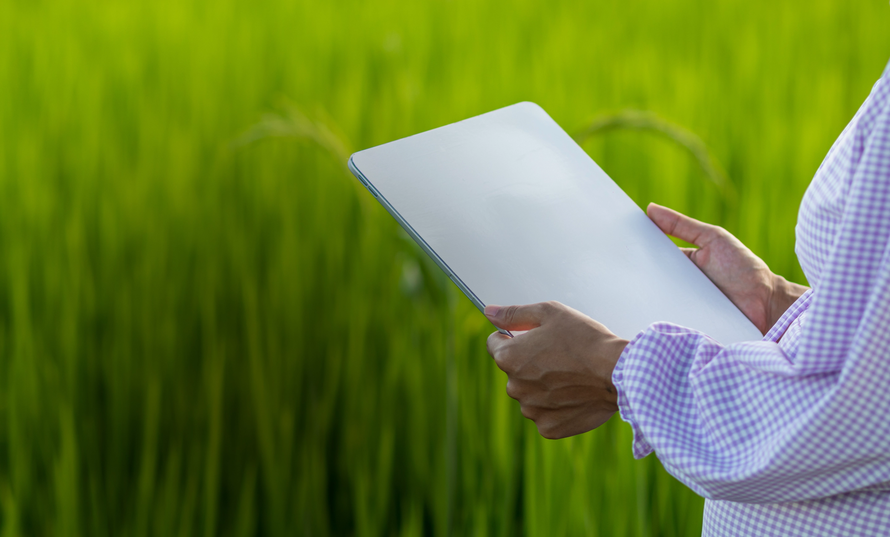 Inteligência de Mercado e Educação